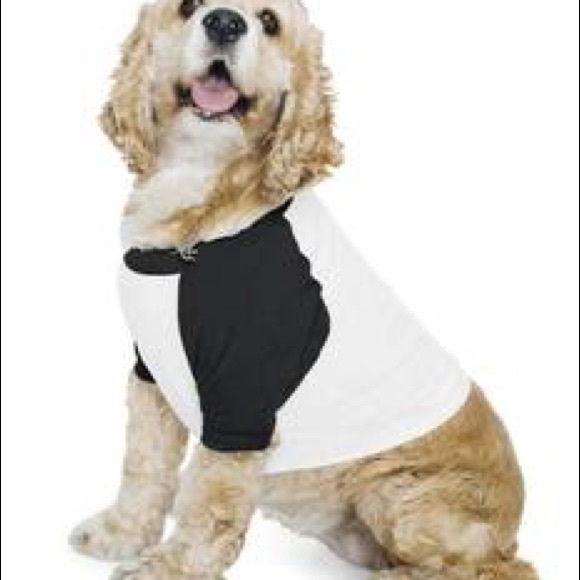American Apparel Doggy Baseball Tee Black Sleeves - Picture 4 of 7
